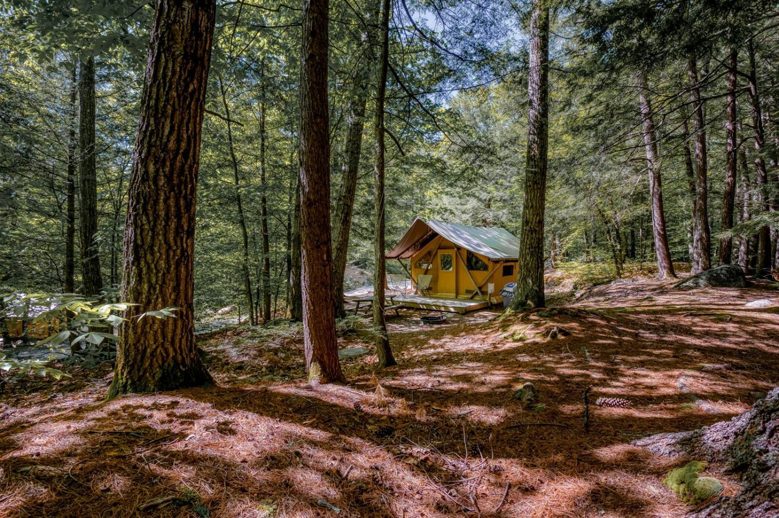 Huttopia White Mountains Albany Extérieur photo