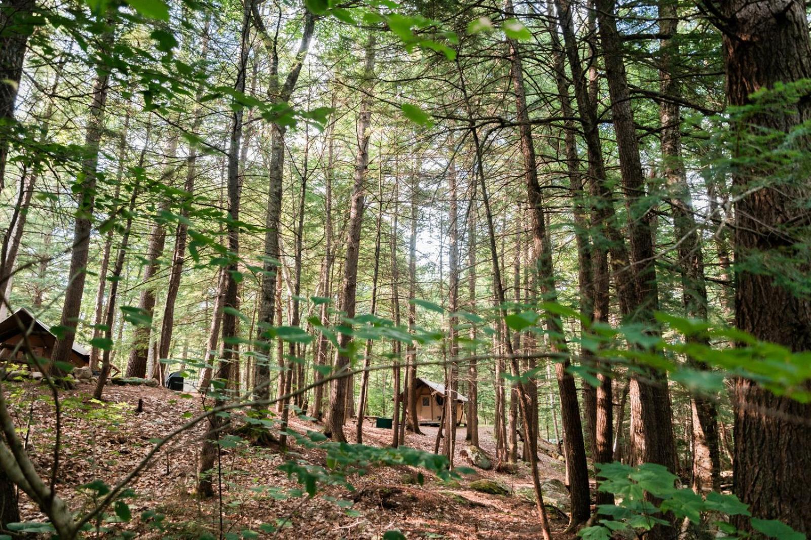 Huttopia White Mountains Albany Extérieur photo