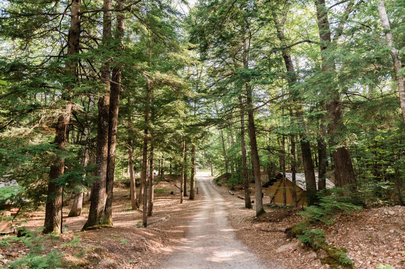 Huttopia White Mountains Albany Extérieur photo